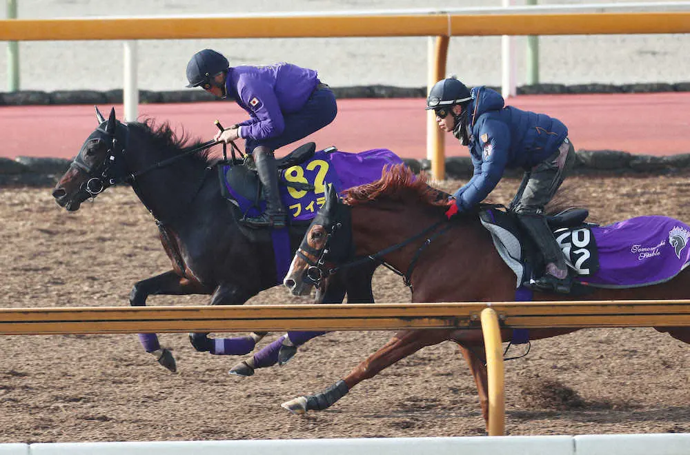 軽快にCWを駆け抜けるフィデル＝左（撮影・井垣　忠夫）　