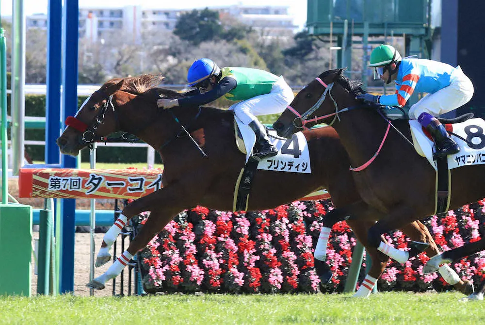 ＜中山5R　新馬戦＞新馬戦を制した菅原明騎乗のブリンディジ　（撮影・西川　祐介）
