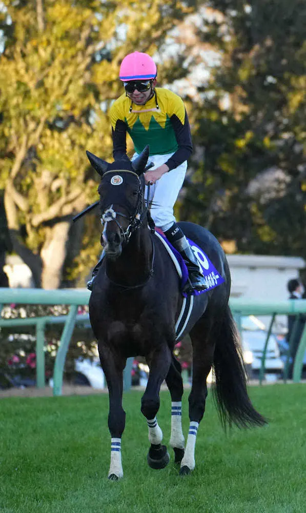 有馬記念5着のタイトルホルダー
