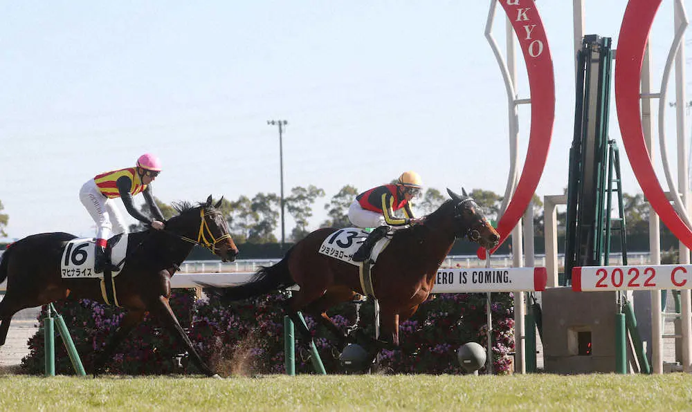 ＜中京6R・3歳新馬戦＞直線で抜け出し新馬戦を制した岩田望騎乗のショショローザ（撮影・椎名　航）