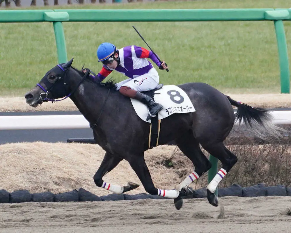 ＜中山4R・新馬戦＞レースを制したラブリネスオーバー（撮影・郡司　修）