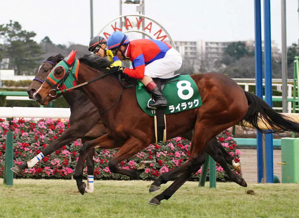フェアリーSを制したライラック（手前）＝撮影・郡司　修