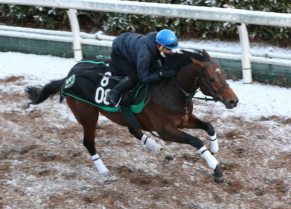 和田竜騎手を背に坂路で追い切るテンダンス（撮影・亀井　直樹）