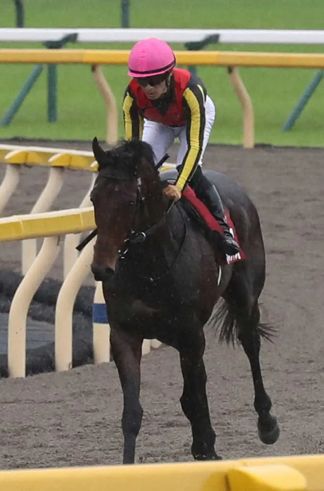 ステルヴィオ