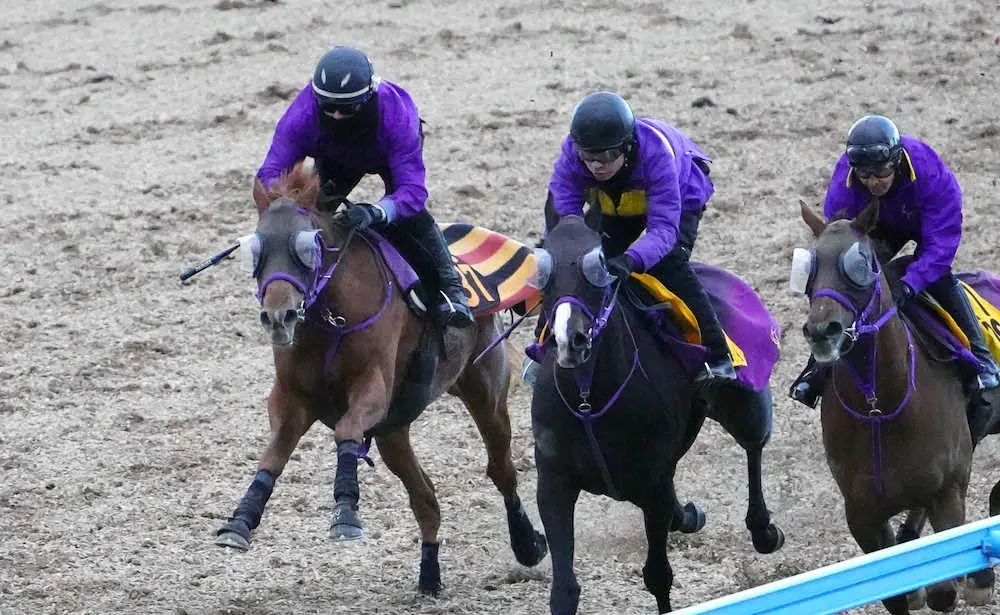 3頭併せで追い切るサンストックトン（左端）　（撮影・西川祐介）