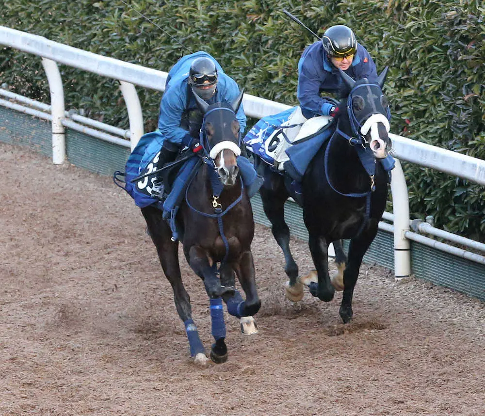 坂路にて併せ馬で追い切るトゥーサン（左）（撮影・亀井　直樹）