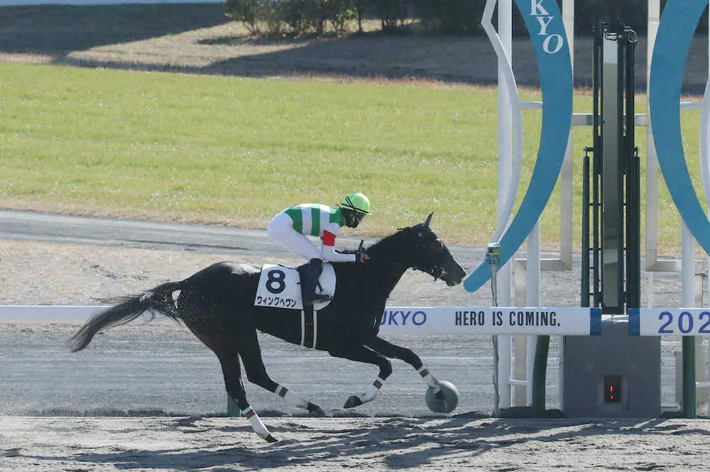 独走で新馬戦を制した松山騎乗のウィングヘヴン（撮影・椎名　航）
