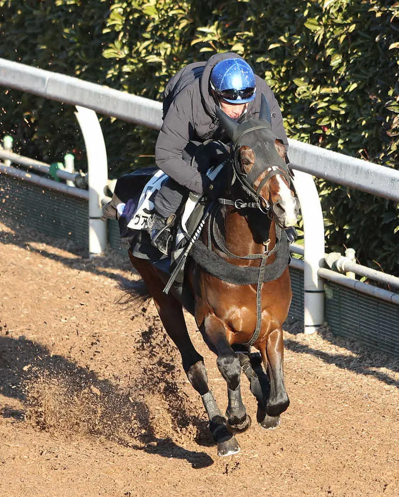 松田大作を背に坂路を単走で追い切るスワーヴアラミス