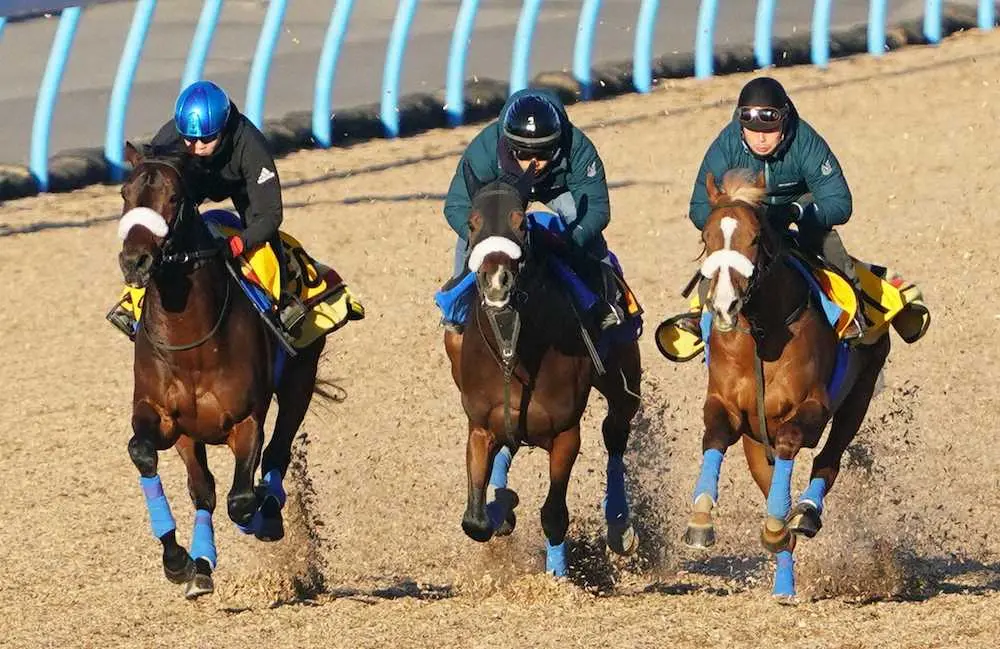 3頭併せで追い切るアンティシペイト（左）（撮影・村上　大輔）