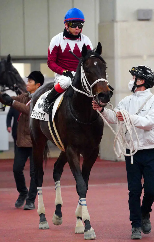 ＜中京3R・新馬戦＞デビュー戦を圧勝したブリッツファング（撮影・井垣　忠夫）