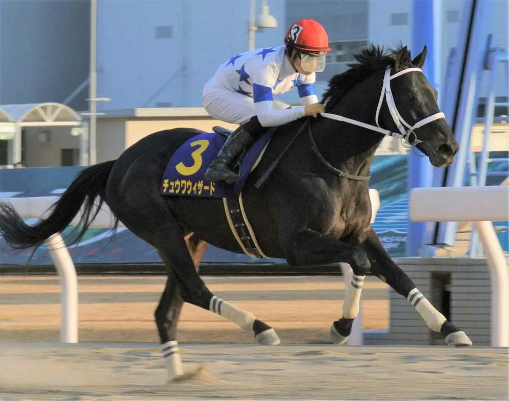 川崎記念を圧勝したチュウワウィザード