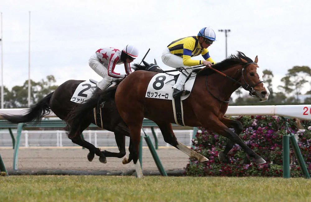 ＜中京6R新馬戦＞ゴール前で抜け出し勝利するゼッフィーロ＝右（撮影・亀井　直樹）