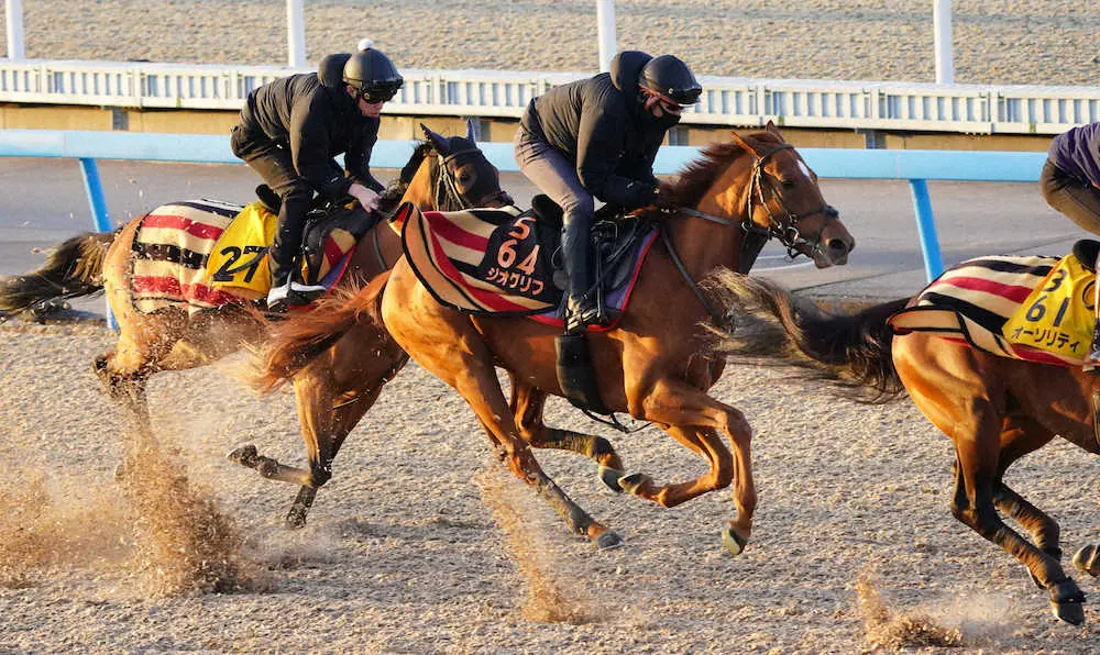 ジオグリフ（中央）は3頭併せで追い切る（撮影・西川祐介）