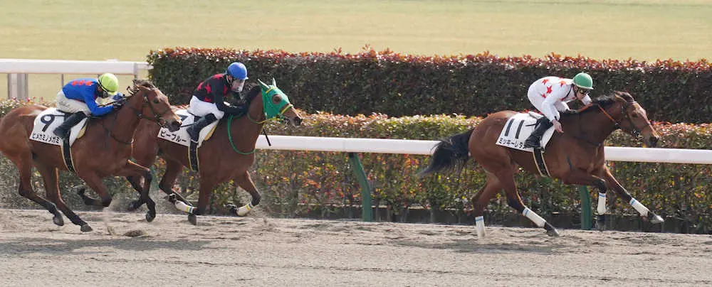 ＜東京競馬4R新馬戦＞レースを制したミッキーレタス（右）＝撮影・郡司　修