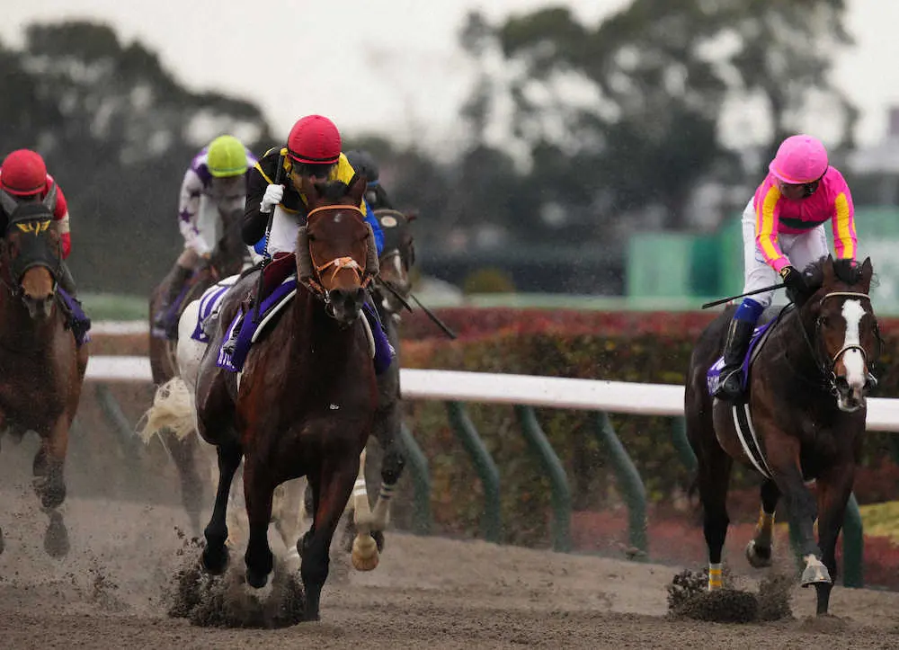 ＜フェブラリーS＞カフェファラオでレースを制しガッツポーズする福永（左）。右は2着のテイエムサウスダン（撮影・沢田　明徳）