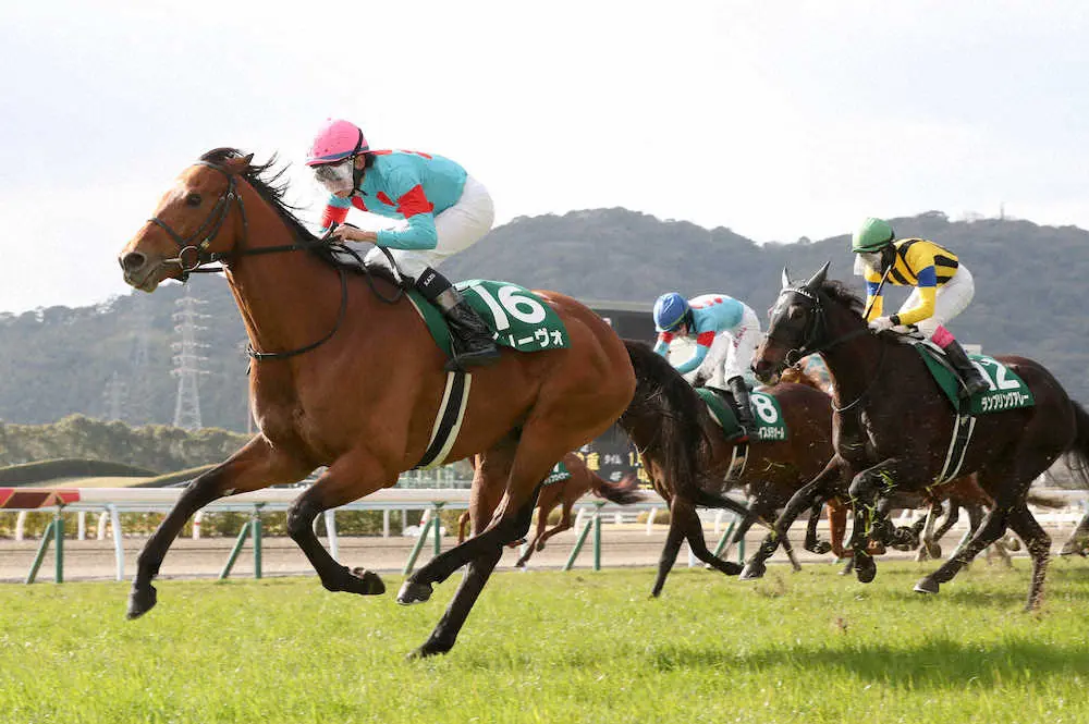 ＜小倉11R・小倉大賞典＞大外から差し切って重賞初制覇を飾ったアリーヴォ＝左（撮影・中村　達也）