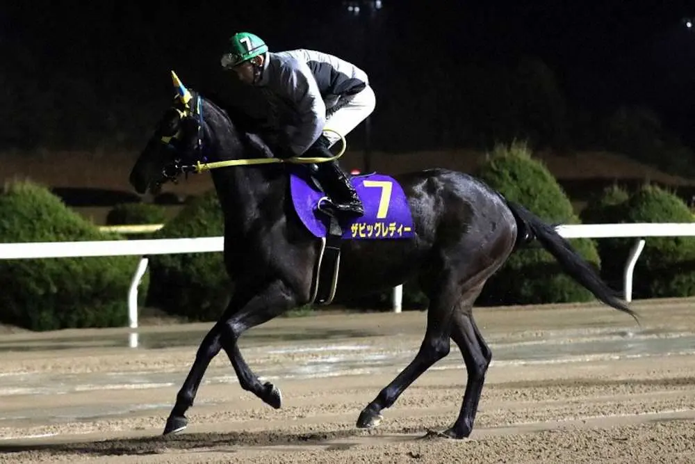 新鋭・飛田騎手とのタッグも魅力のザビッグレディーを中心視