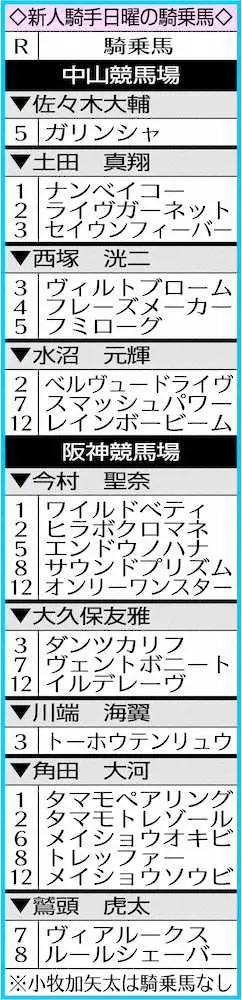 新人騎手日曜の騎乗馬