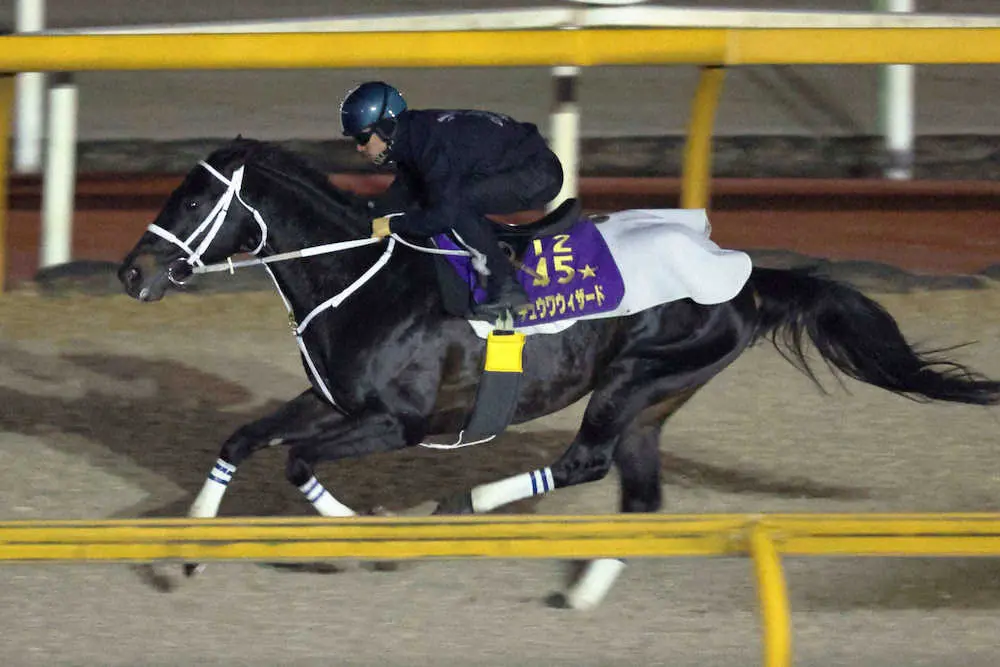 川田将雅が騎乗し、CWコースで抜群の動きをみせたチュウワウィザード