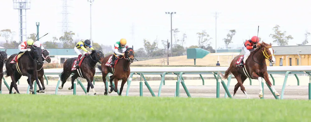 ＜中京11R・金鯱賞＞直線で後続を突き放し快勝するジャックドール＝右（撮影・亀井　直樹）