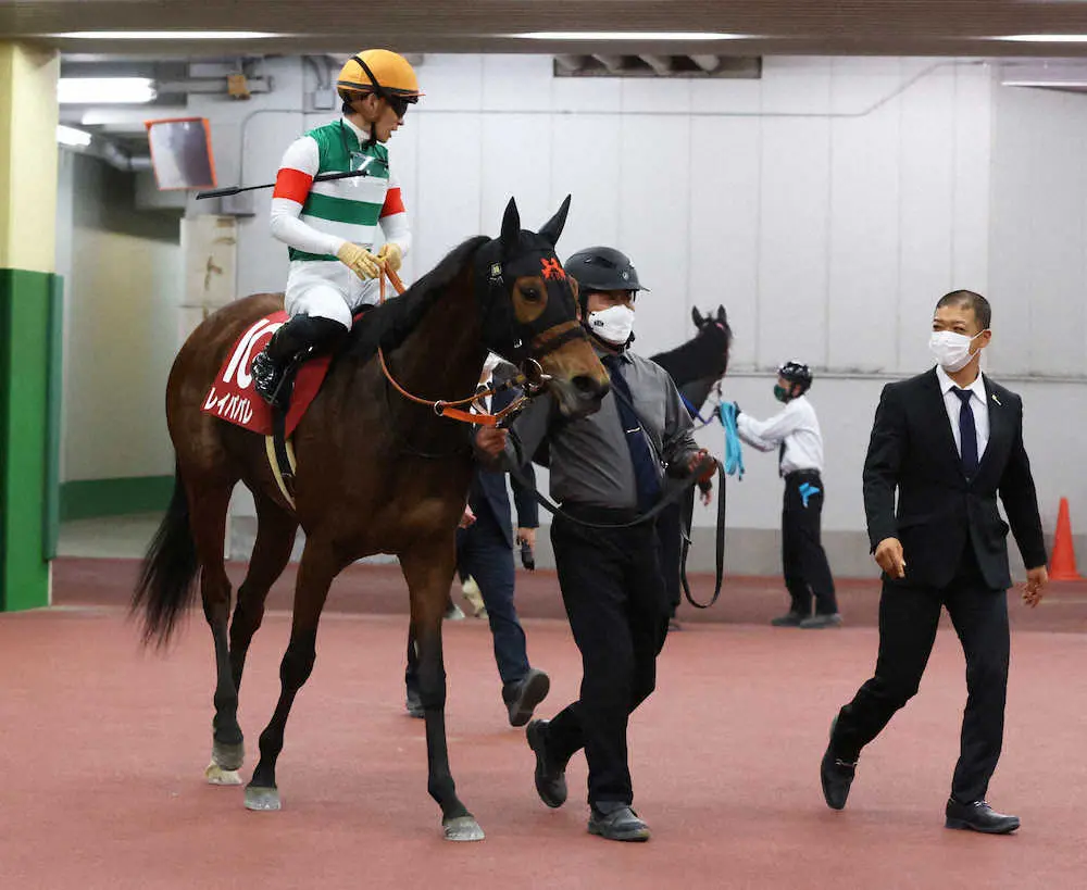 ＜中京11R・金鯱賞＞2着に入ったレイパパレ（撮影・亀井　直樹）
