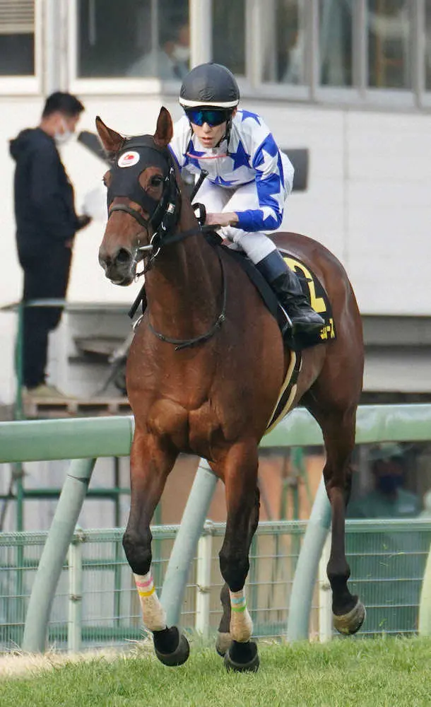 ＜中山11R・アネモネS＞2着でレースを終えたラズベリームース（撮影・郡司　修）