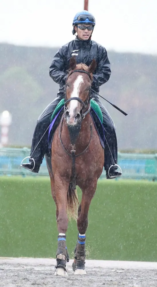 トウシンマカオ