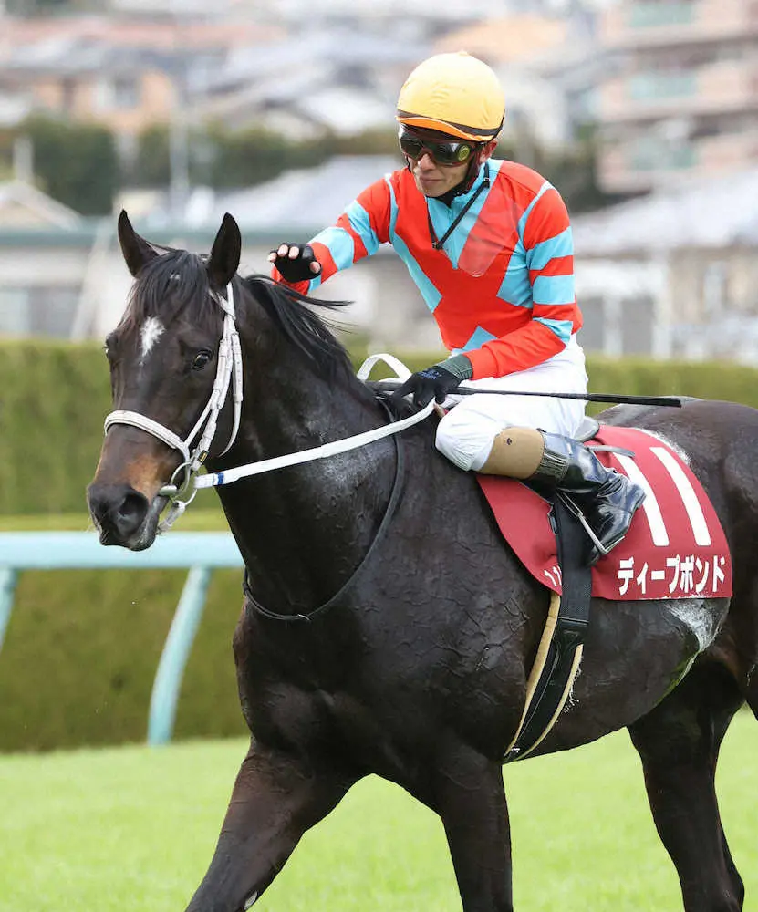 ＜阪神11R・阪神大賞典＞　阪神大賞典連覇を果たしたディープボンド　（撮影・亀井　直樹）