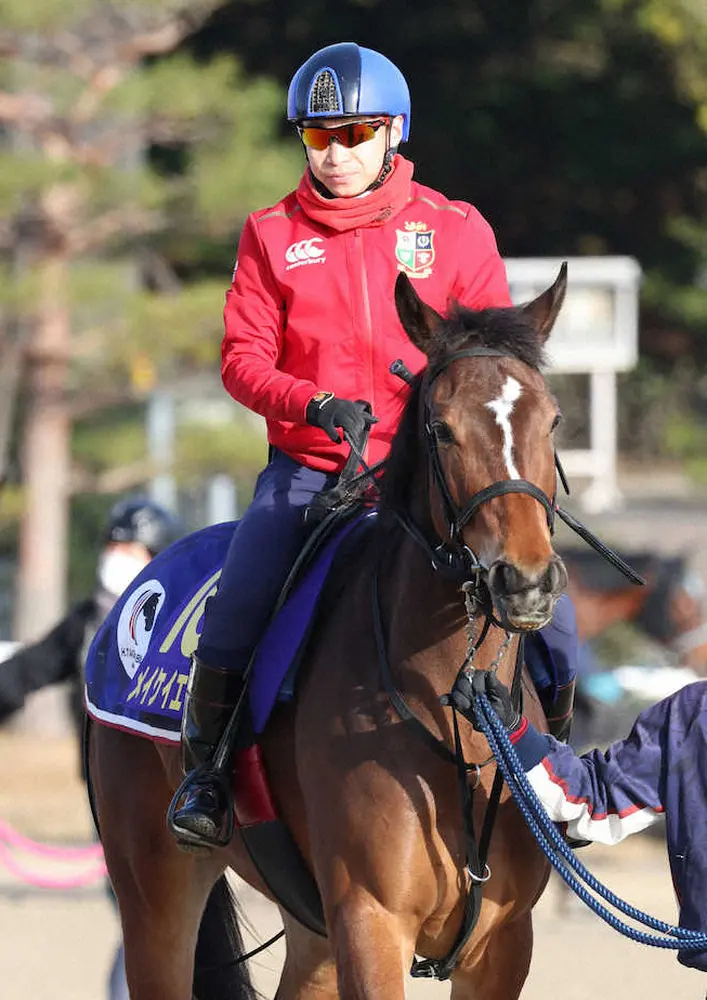 データが弾き出した高松宮記念の本命メイケイエール