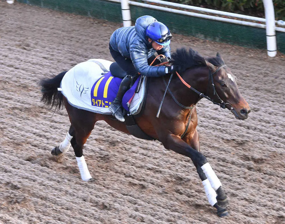 岩田康を背に坂路を単走で追い切るダイアトニック