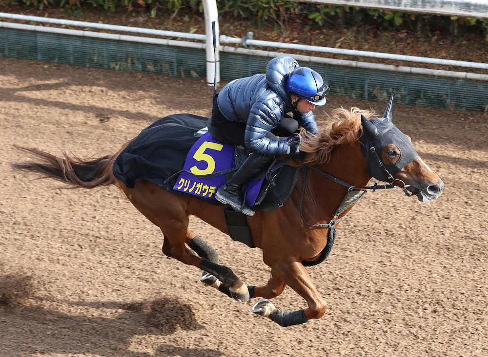 岩田康を背に坂路を単走で追い切るクリノガウディー