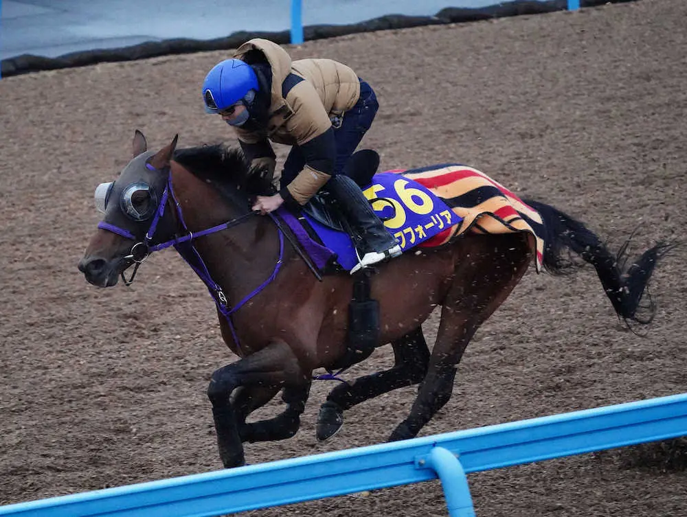 ウッドチップコースで追い切るエフフォーリア（撮影・郡司　修）