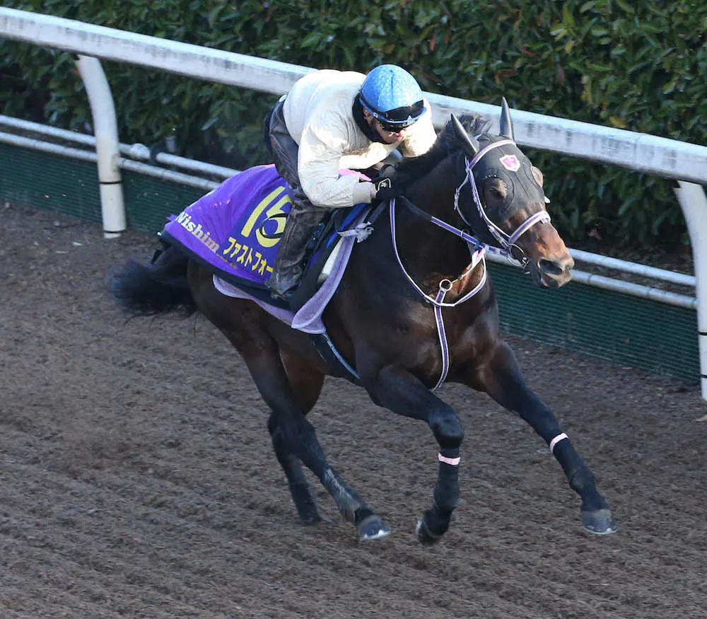 柴山を背に坂路で追い切るファストフォース（撮影・亀井　直樹）