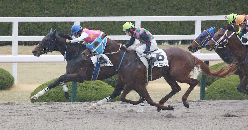 ＜阪神4R＞ゴール前、ダンツエスプリ（右）の追撃を抑え勝利する今村聖奈騎手騎乗のジューンアマデウス（奥・青帽）（撮影・亀井　直樹）