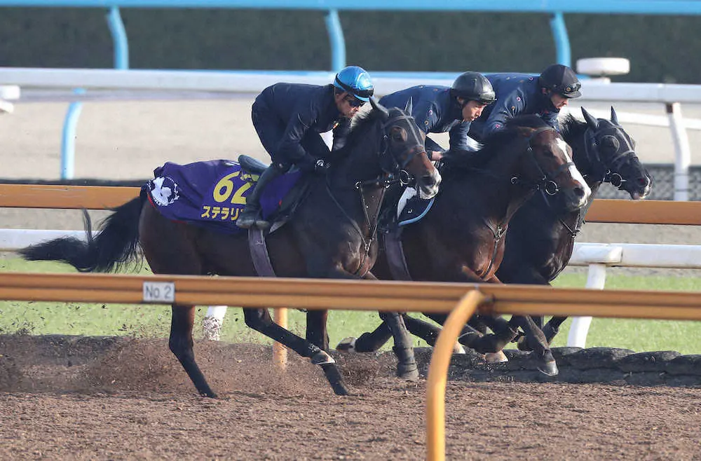 福永祐一を背にCウッドをキラーアビリティ（右）、バーデンヴァイラー（中央）と3頭併せで追い切るステラリア