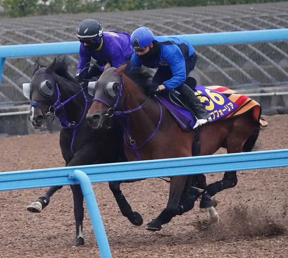 ルッジェーロ（奥）と併せて追い切るエフフォーリア（撮影・郡司　修）