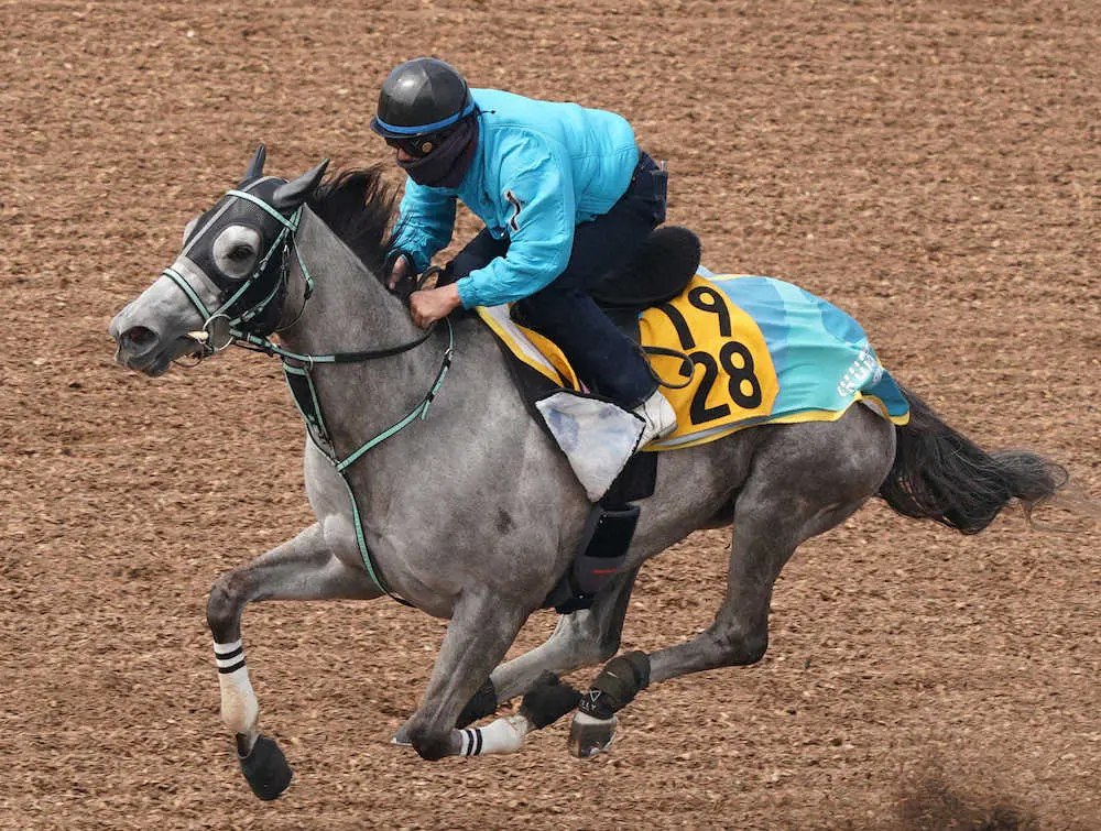 ウッドチップコースで追い切るリフレイム（撮影・郡司　修）