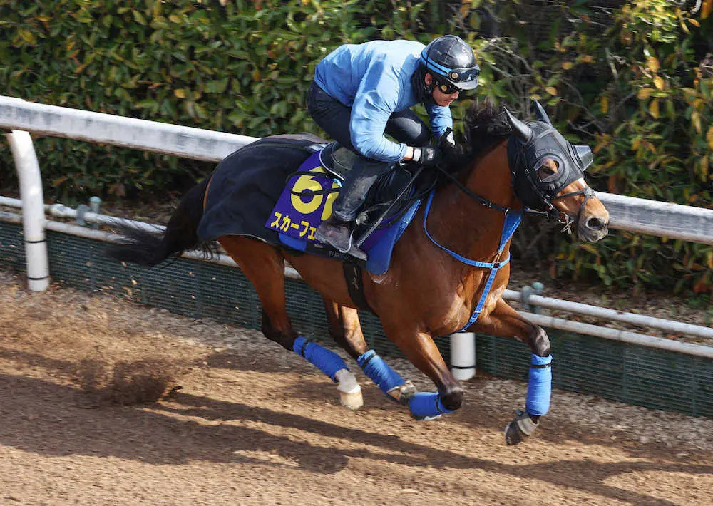 坂路で追い切るスカーフェイス（撮影・亀井　直樹）