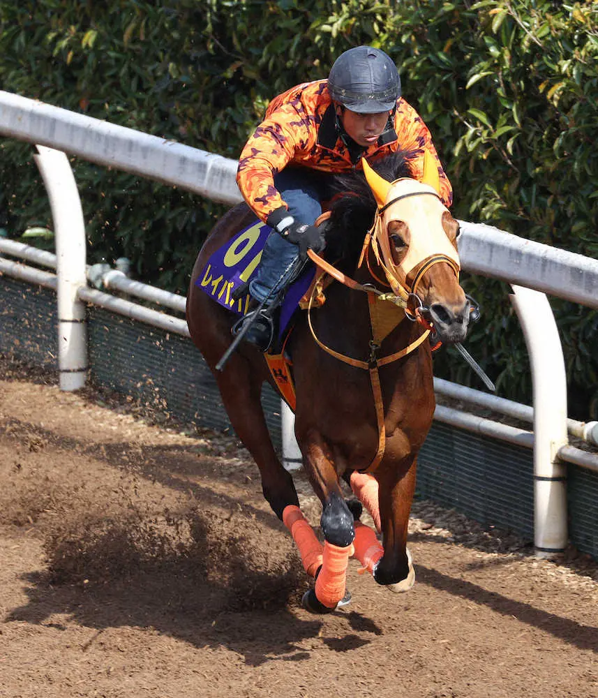 坂路で追い切るレイパパレ（撮影・亀井　直樹）