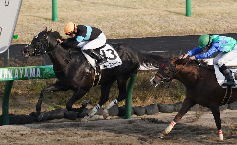 ＜中山12R＞レースを制したフレーズメーカー（左）。鞍上の西塚はJRA初勝利を挙げた（撮影・郡司　修）