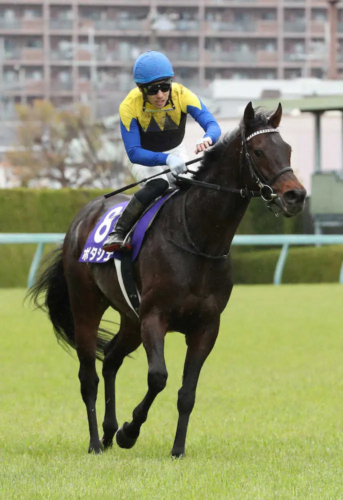 ＜阪神競馬11R・大阪杯＞ポタジェで大阪杯を制した吉田隼人（撮影・奥　調）