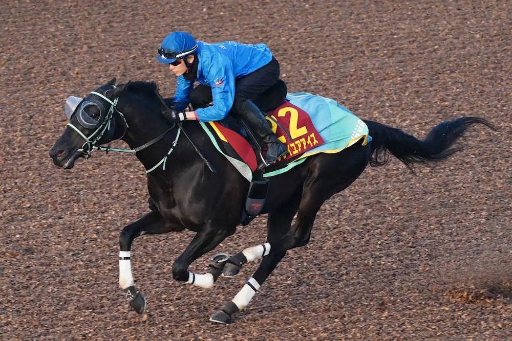 充電期間を十分に取ったラブリイユアアイズ