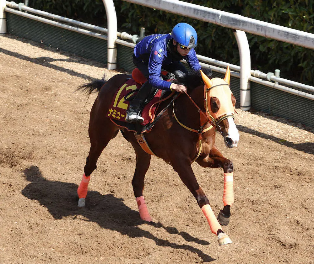 横山武史を背に坂路を単走で追い切るナミュール
