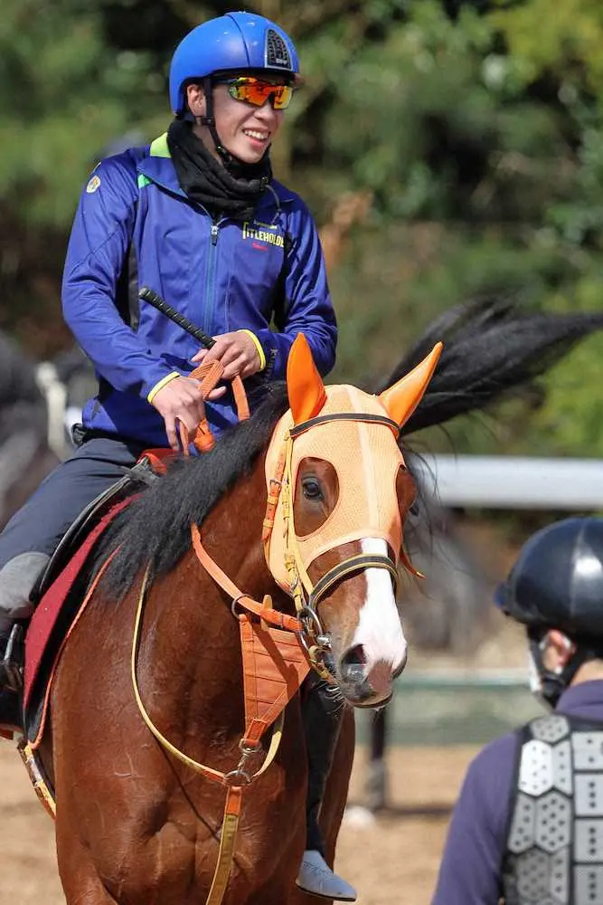 横山武史が手綱を執るナミュール