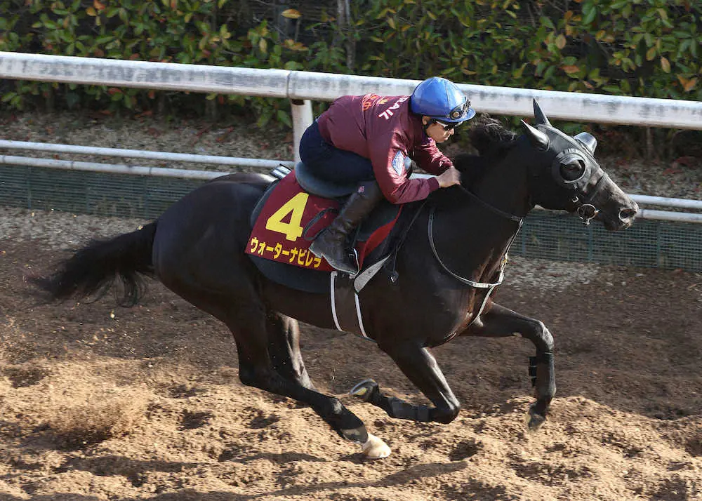 吉田隼人を背に坂路をスタローンと併せ馬で追い切るウォーターナビレラ