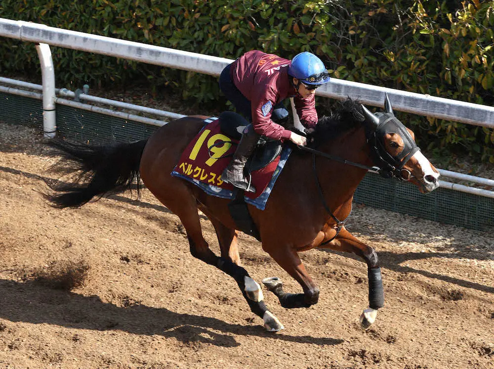 吉田隼人を背に坂路をルクスレジーナと併せ馬で追い切るベルクレスタ
