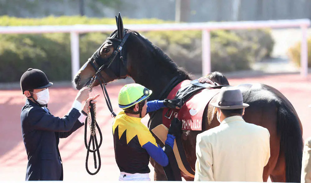 ＜阪神11R・阪神牝馬S＞競走除外になったアカイトリノムスメ　（撮影・亀井　直樹）