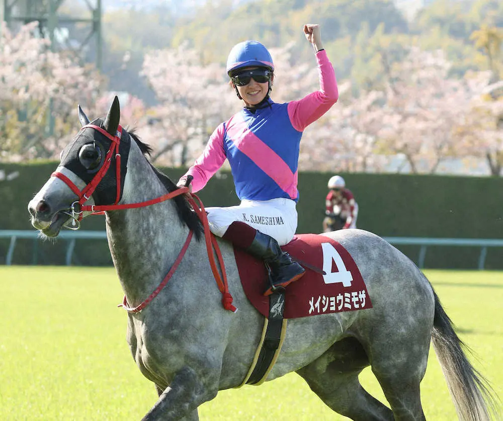 ＜阪神牝馬S＞メイショウミモザで勝利しガッツポーズの鮫島駿（撮影・亀井　直樹）