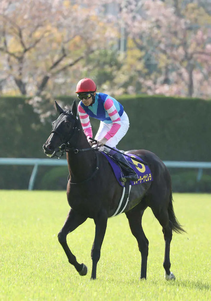 ＜桜花賞＞2着のウォーターナビレラ　（撮影・亀井　直樹）