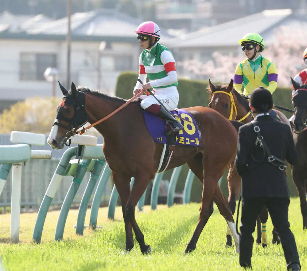 ＜桜花賞＞10着に敗れたナミュール　（撮影・亀井　直樹）